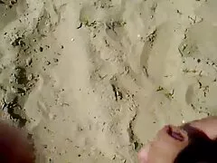 الكلبة في الشبكة يحب ديك كبيرة سكسي محارم اجنبي مترجم