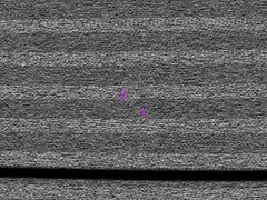 بعد ممارسة الجنس في السيارة ، انتقلوا سكسي اجنبي محارم إلى الشارع